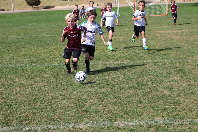 属于团队 属于团队