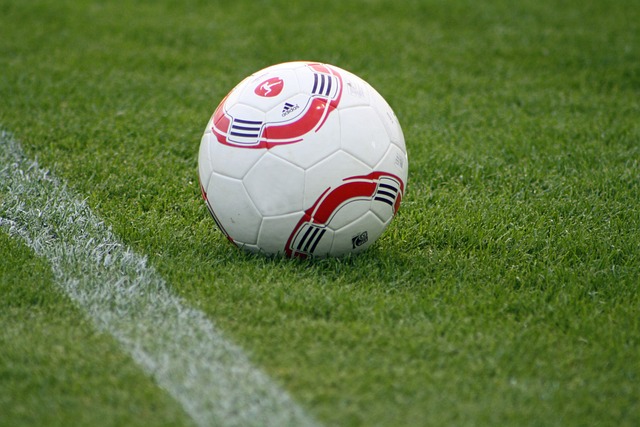 在这一过程 在这一过程