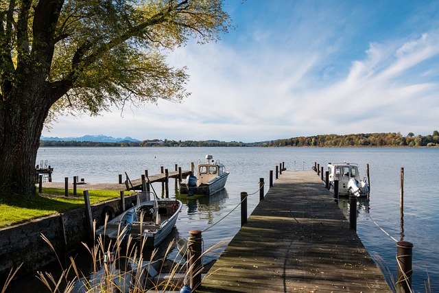 医药的国际 医药的国际