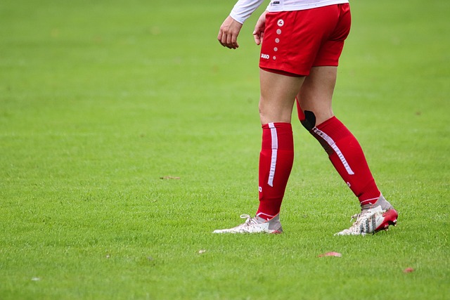 队的发展历 队的发展历