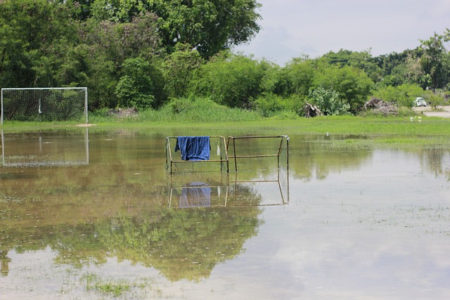 更是电视转 更是电视转
