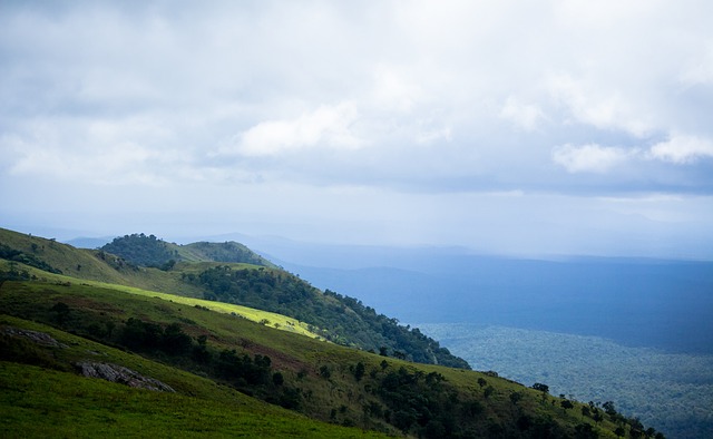 攻數的一半 攻數的一半