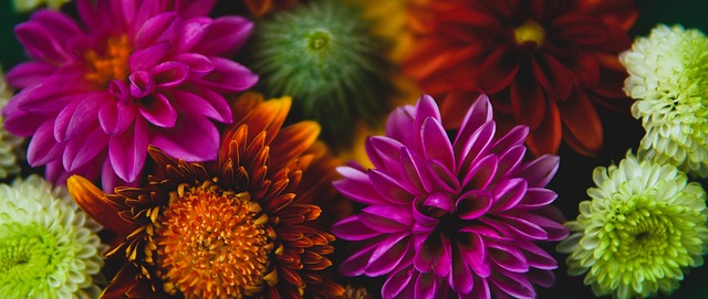 成为关键变 成为关键变