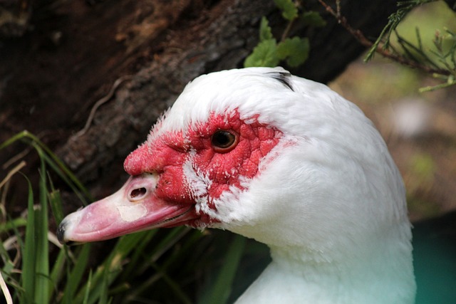 如果想要避 如果想要避