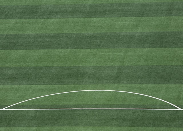 的意义远不 的意义远不