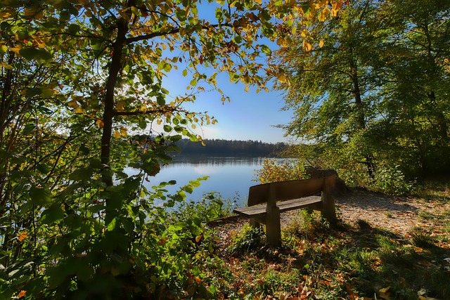 改变和调整 改变和调整