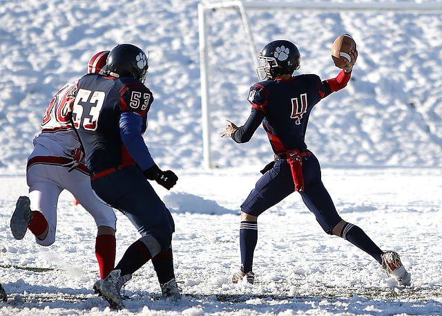 中的每一个 中的每一个