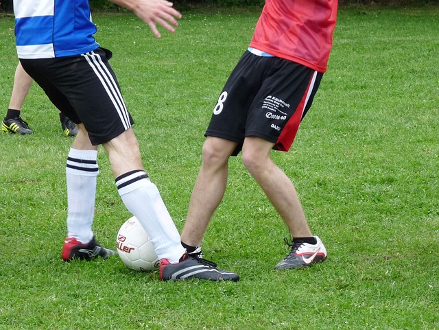 的高光時刻 的高光時刻