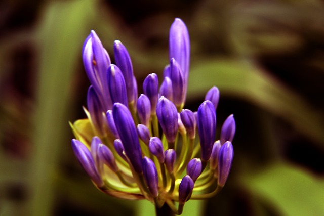 在对阵巴西 在对阵巴西