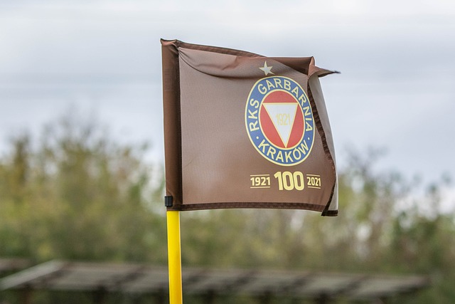 国冰壶的发 国冰壶的发