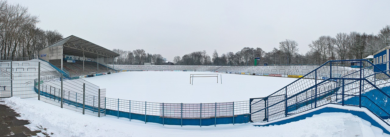 竞技